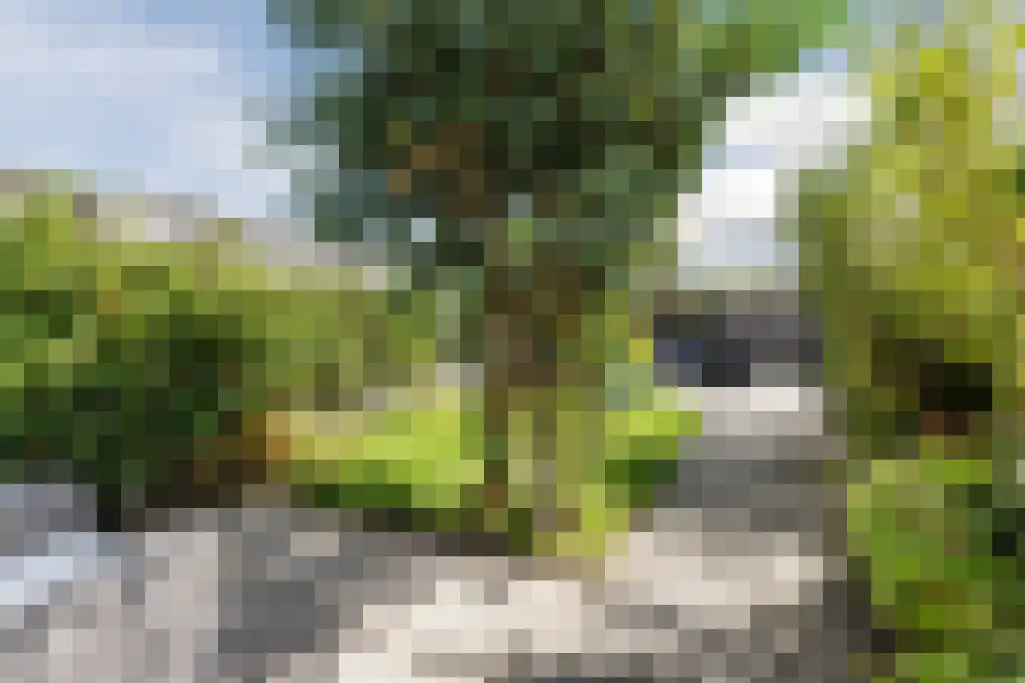 Dassenbos 22 Hoofddorp thumbnail 45