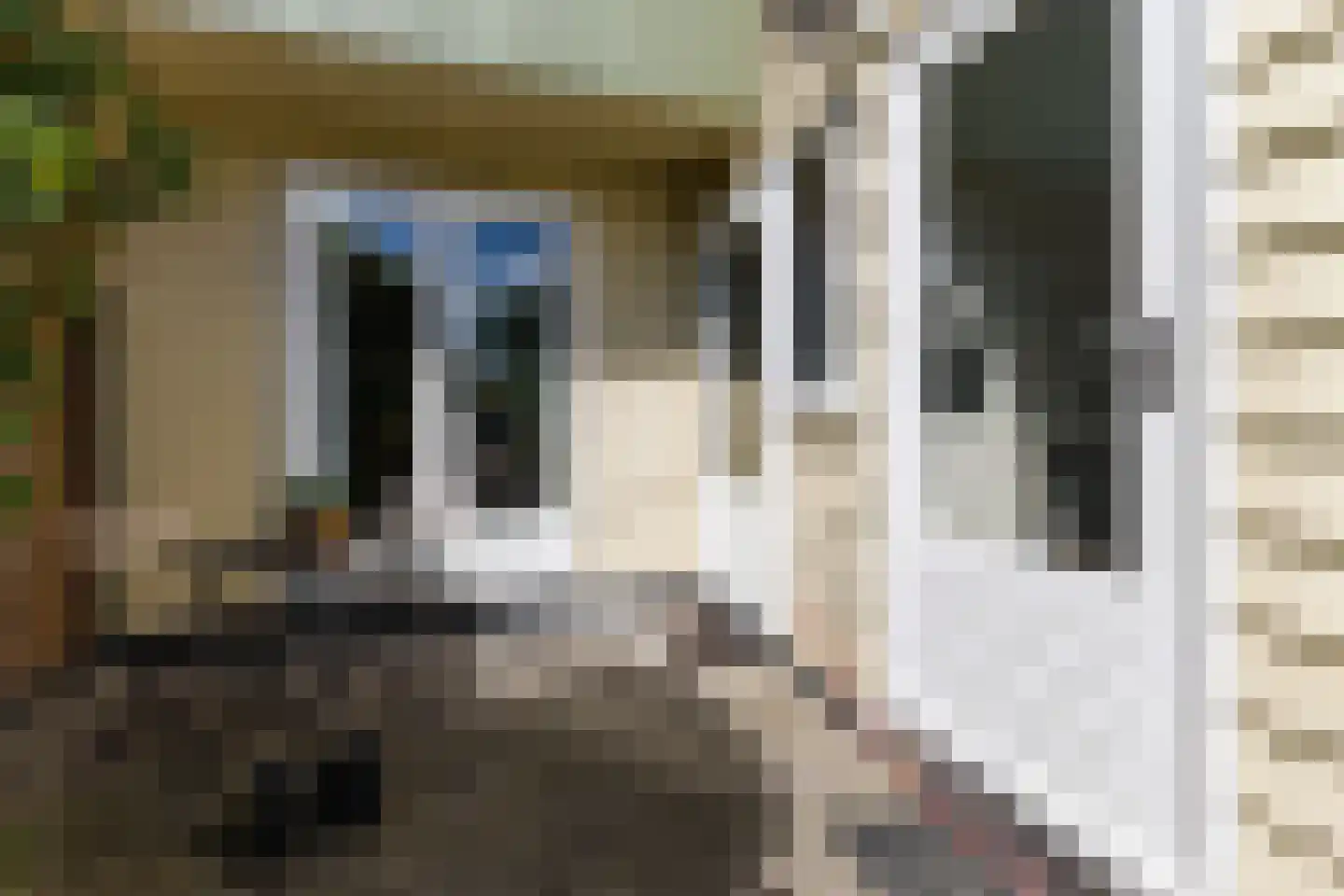 Dassenbos 22 Hoofddorp thumbnail 46