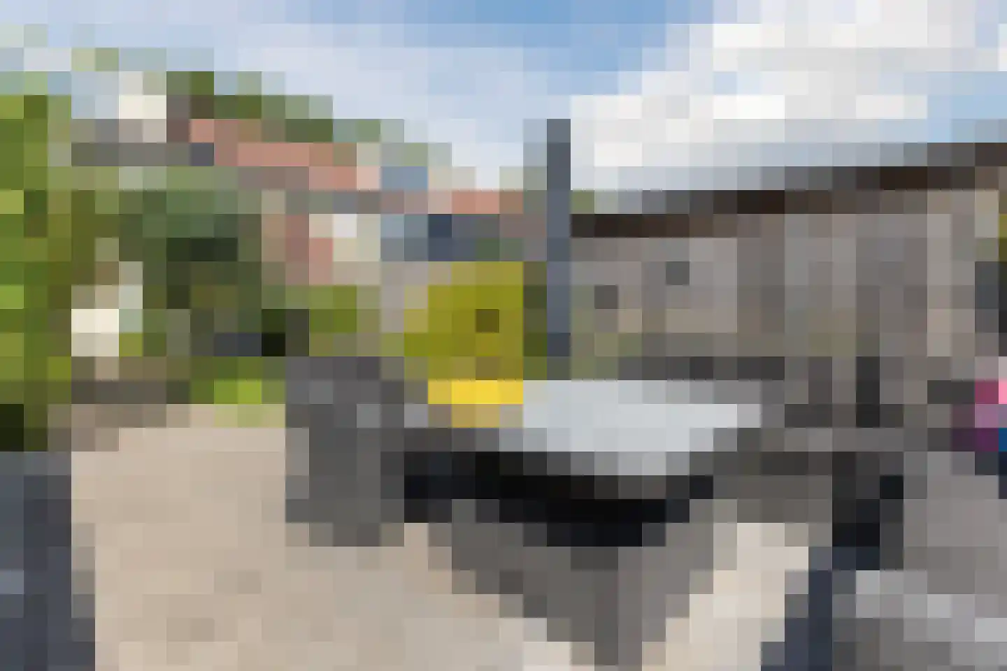 Dassenbos 22 Hoofddorp thumbnail 51