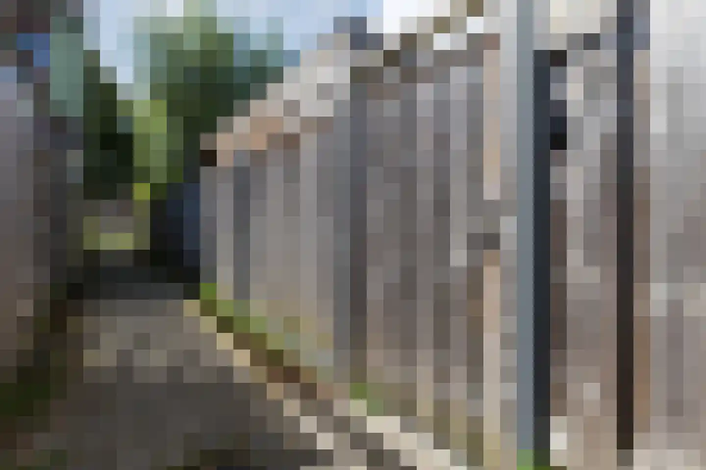 Dassenbos 22 Hoofddorp thumbnail 52