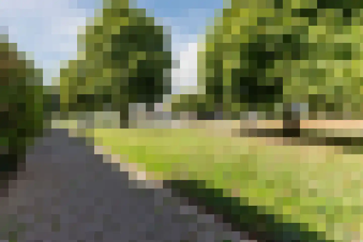 Dassenbos 22 Hoofddorp thumbnail 54