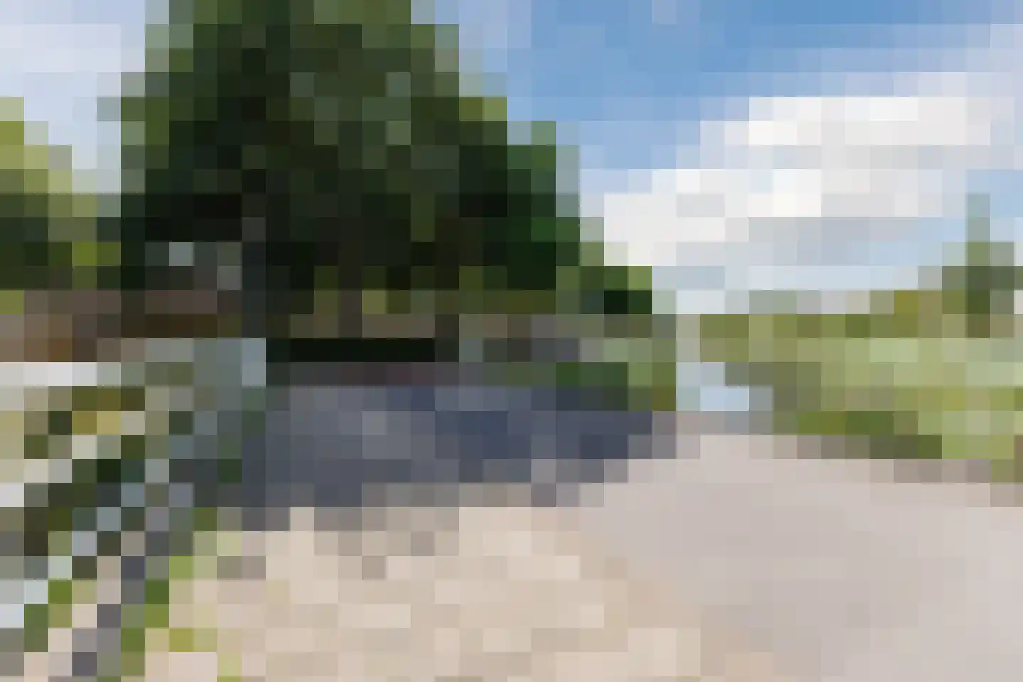 Dassenbos 22 Hoofddorp thumbnail 55