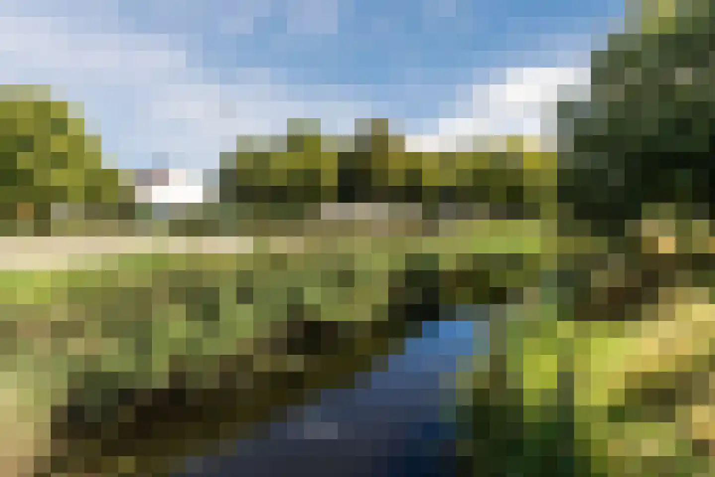 Dassenbos 22 Hoofddorp thumbnail 56