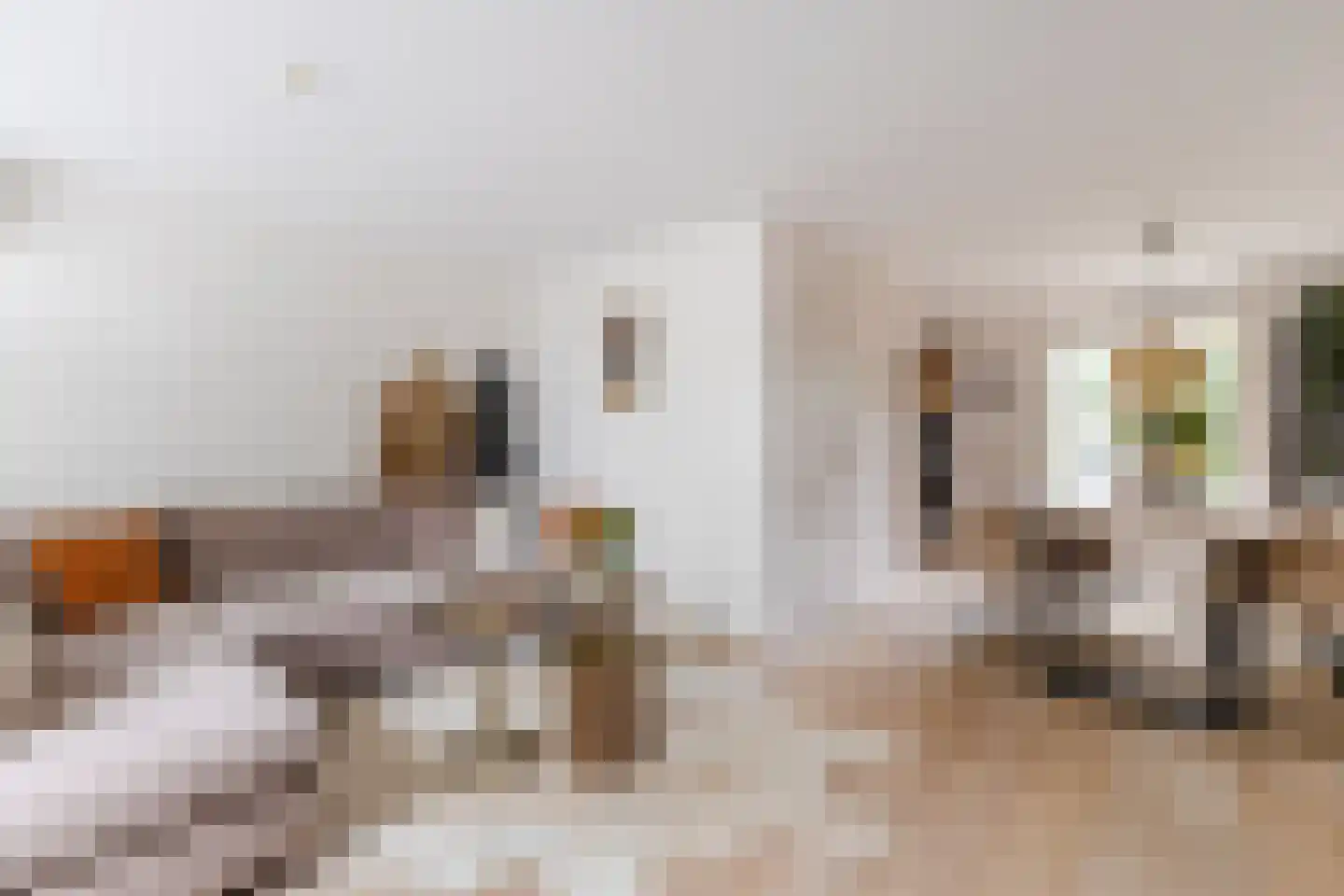 Dassenbos 22 Hoofddorp thumbnail 6