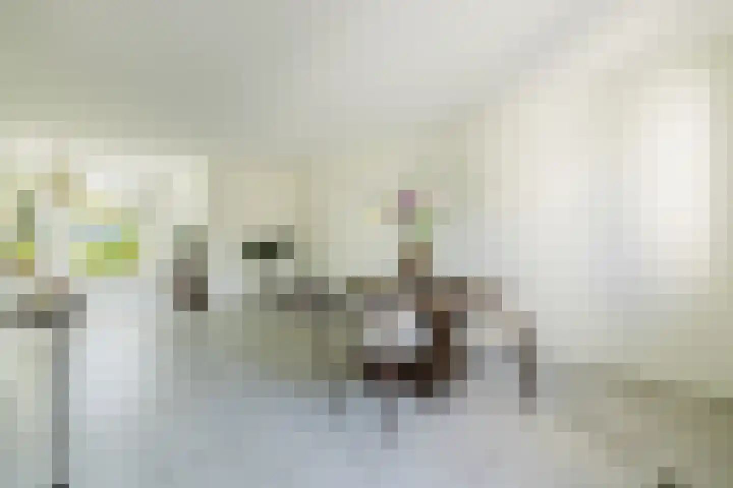 Dassenbos 222 Hoofddorp thumbnail 14
