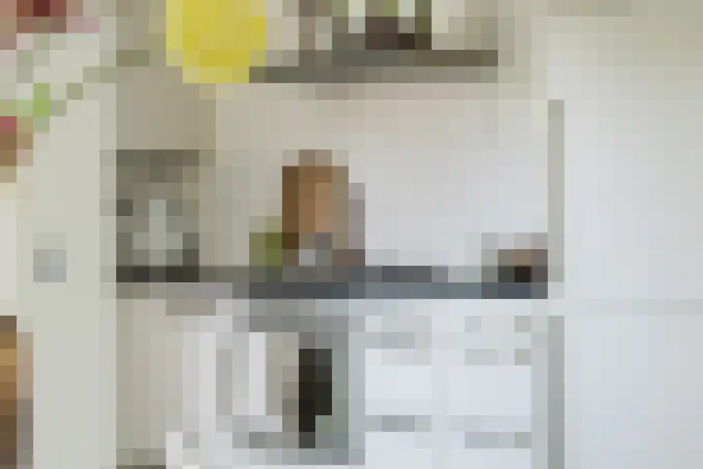 Dassenbos 222 Hoofddorp thumbnail 19