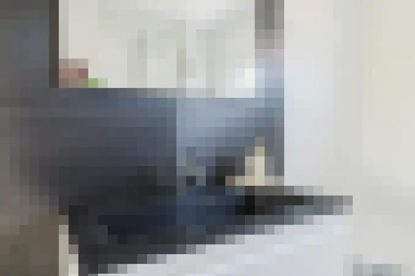 Dassenbos 222 Hoofddorp thumbnail 30