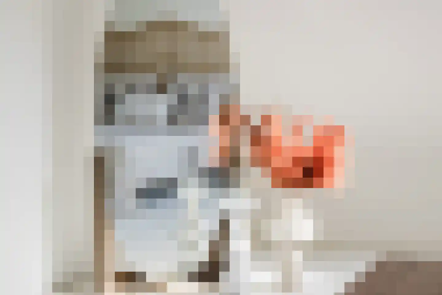 Dassenbos 222 Hoofddorp thumbnail 34