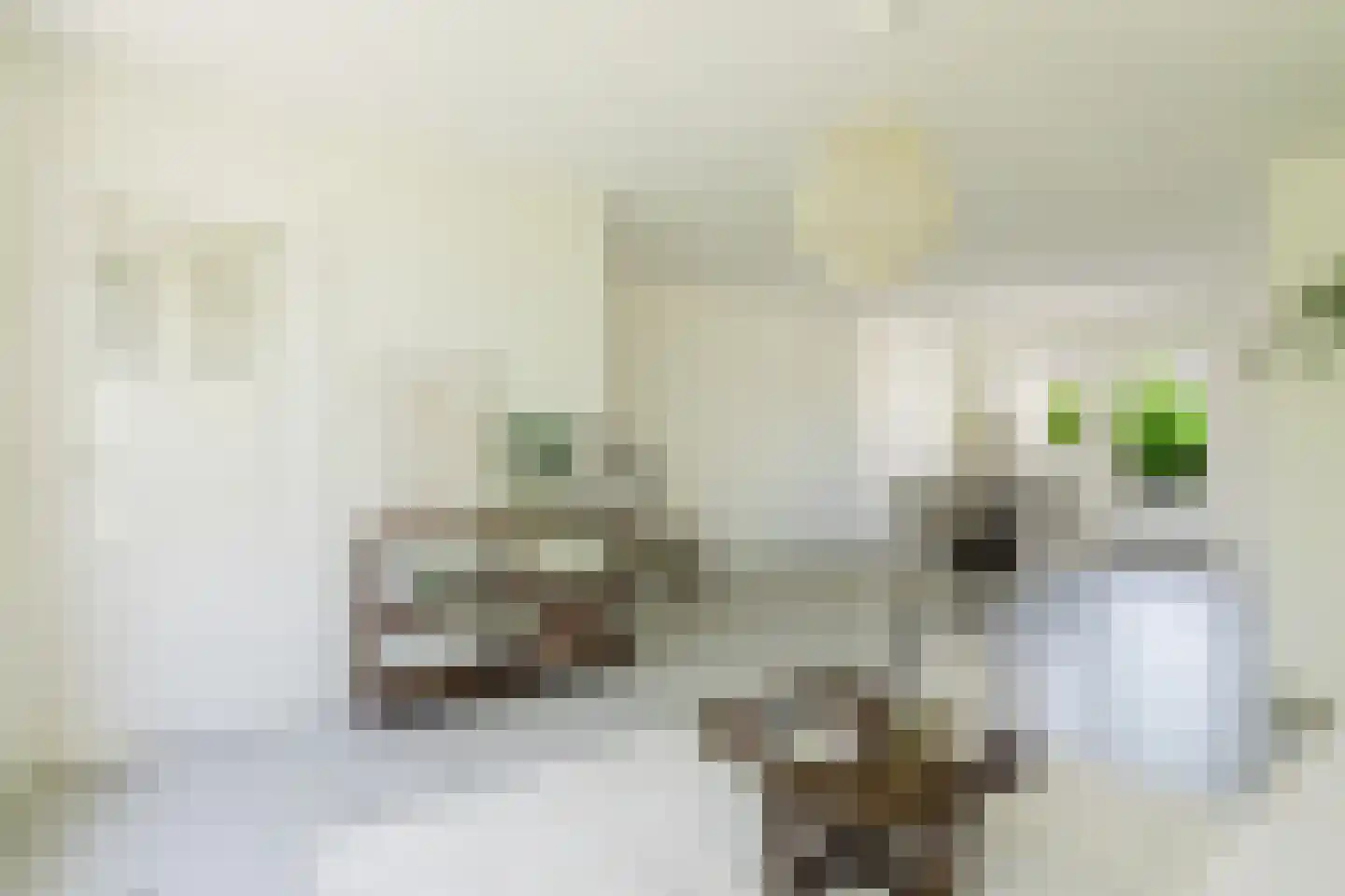 Dassenbos 222 Hoofddorp thumbnail 4