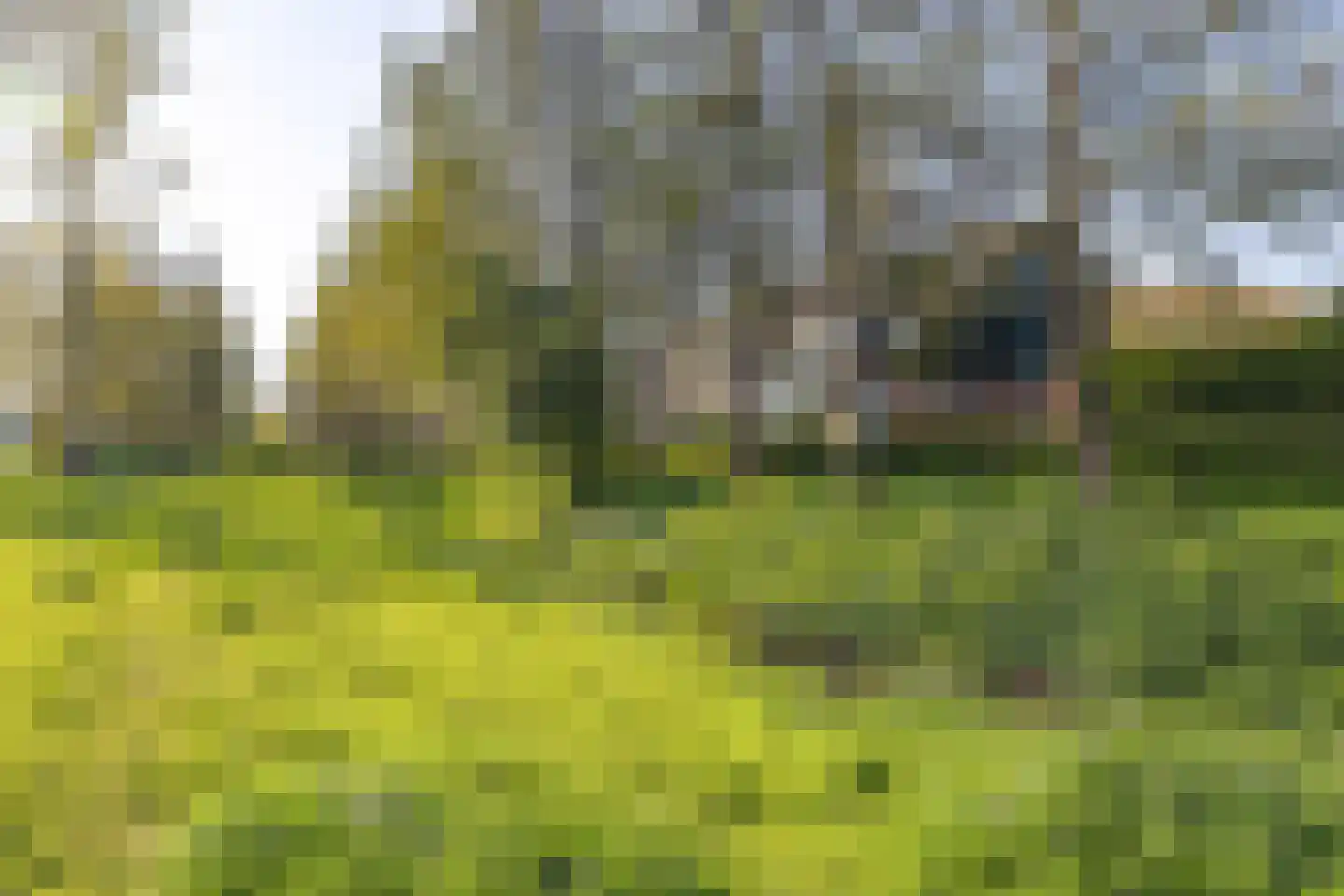 Dassenbos 222 Hoofddorp thumbnail 41