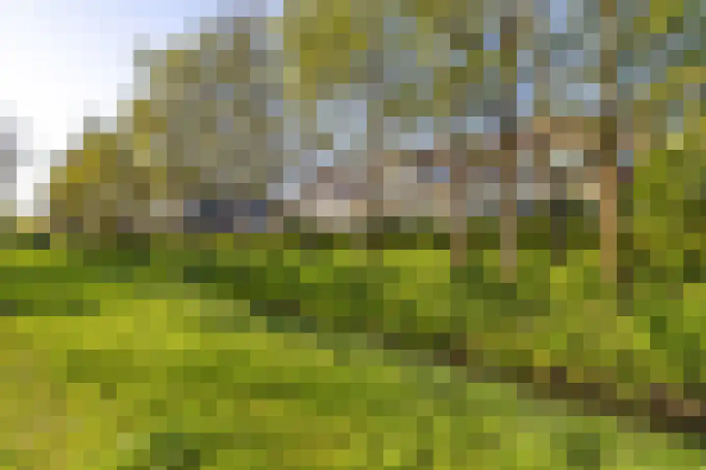Dassenbos 222 Hoofddorp thumbnail 42