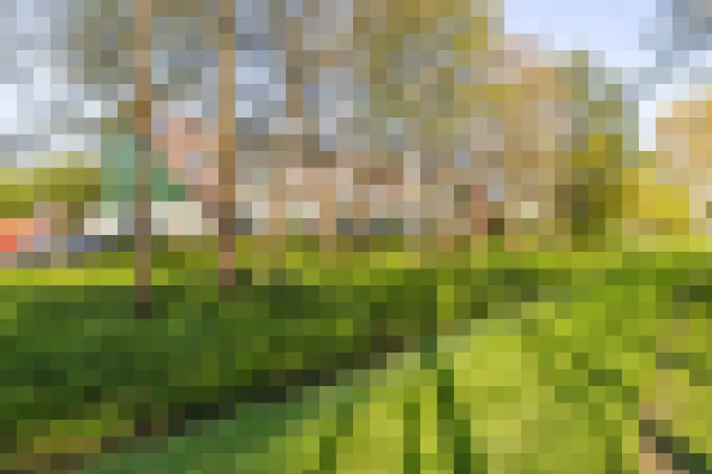 Dassenbos 222 Hoofddorp thumbnail 43