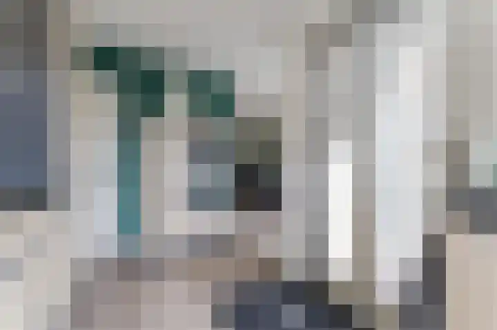Dassenbos 254 Hoofddorp thumbnail 10