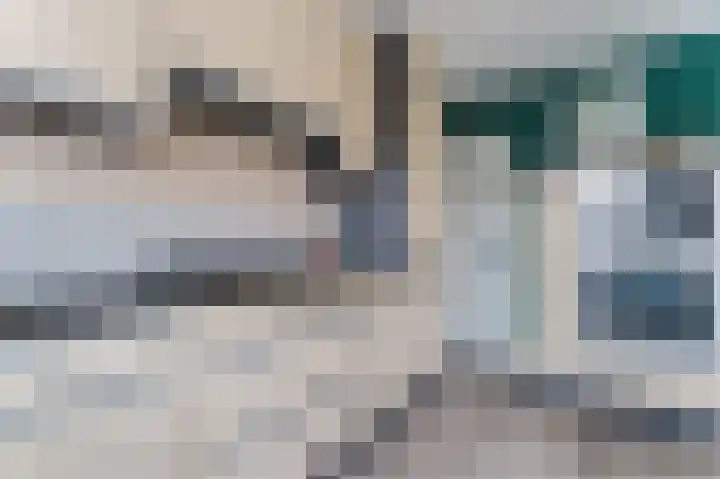 Dassenbos 254 Hoofddorp thumbnail 11