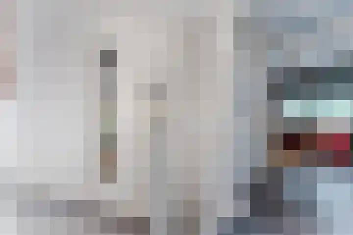 Dassenbos 254 Hoofddorp thumbnail 13