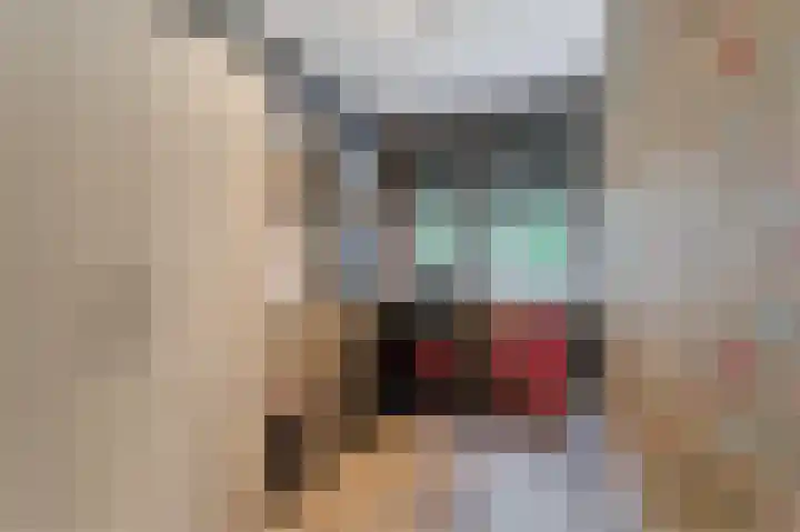Dassenbos 254 Hoofddorp thumbnail 14