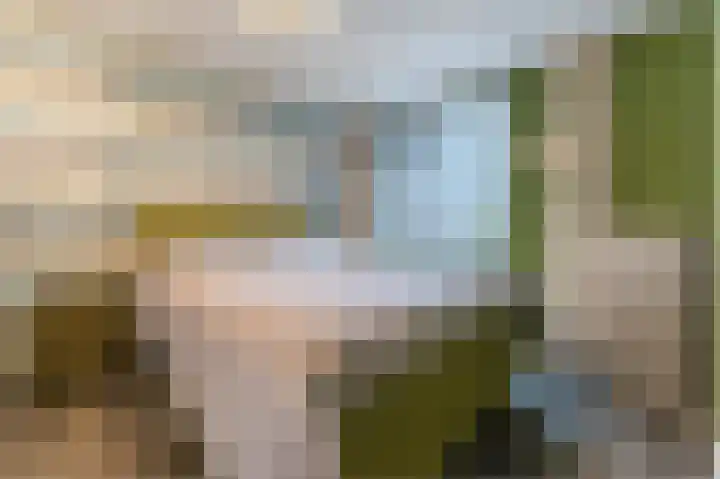 Dassenbos 254 Hoofddorp thumbnail 15