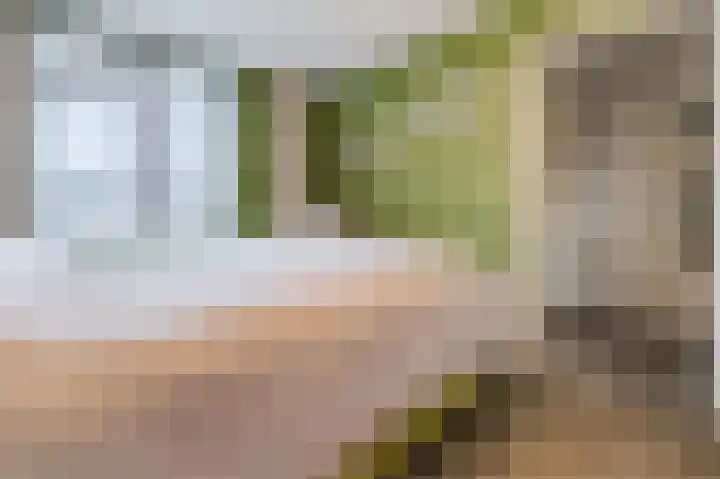 Dassenbos 254 Hoofddorp thumbnail 16