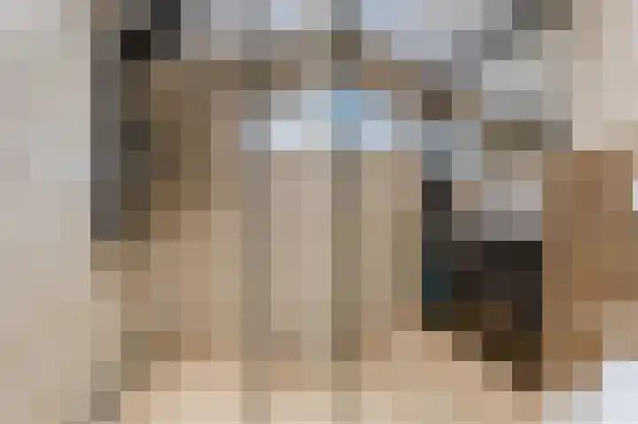Dassenbos 254 Hoofddorp thumbnail 19