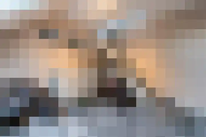 Dassenbos 254 Hoofddorp thumbnail 21