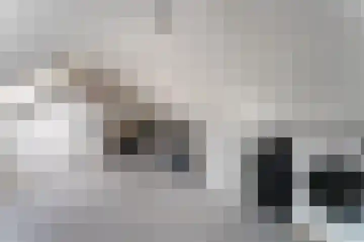 Dassenbos 254 Hoofddorp thumbnail 23