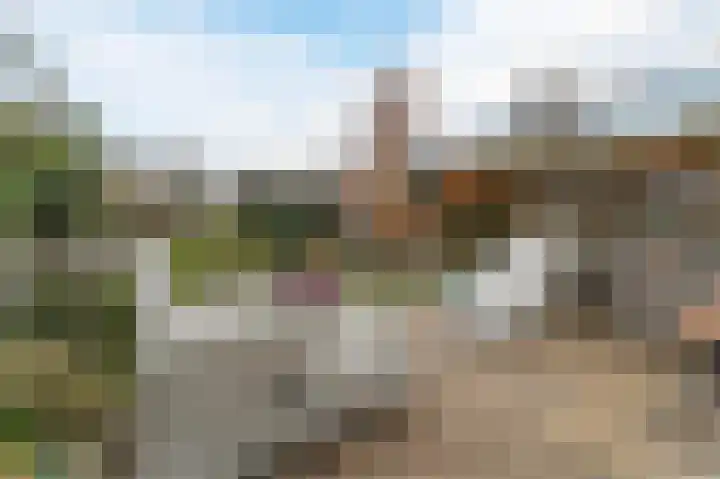 Dassenbos 254 Hoofddorp thumbnail 24