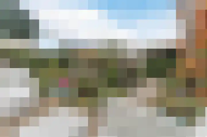 Dassenbos 254 Hoofddorp thumbnail 25
