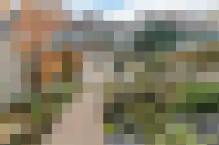Dassenbos 254 Hoofddorp thumbnail 26