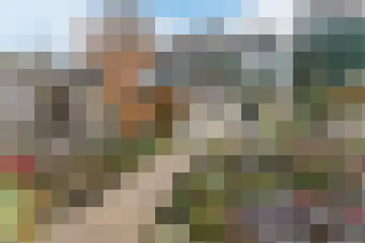 Dassenbos 254 Hoofddorp thumbnail 27