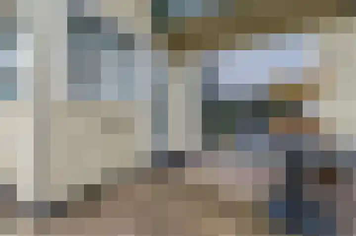 Dassenbos 254 Hoofddorp thumbnail 29