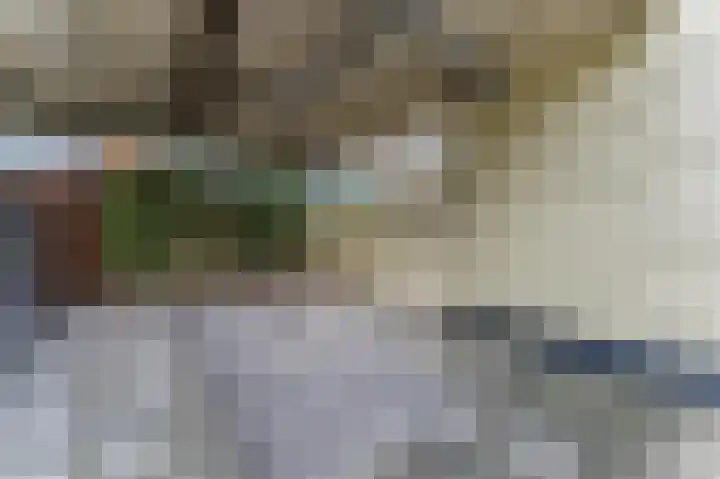 Dassenbos 254 Hoofddorp thumbnail 30