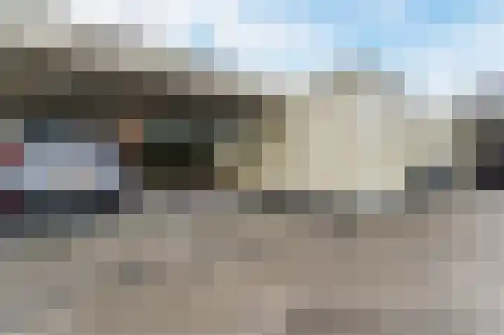 Dassenbos 254 Hoofddorp thumbnail 31