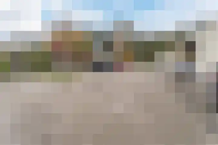 Dassenbos 254 Hoofddorp thumbnail 32