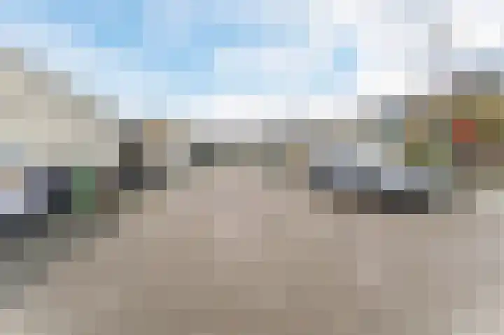 Dassenbos 254 Hoofddorp thumbnail 33