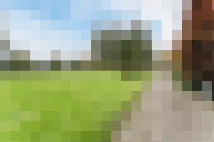 Dassenbos 254 Hoofddorp thumbnail 34