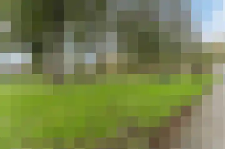 Dassenbos 254 Hoofddorp thumbnail 35