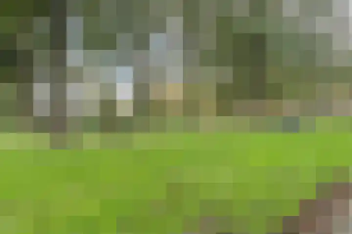 Dassenbos 254 Hoofddorp thumbnail 36