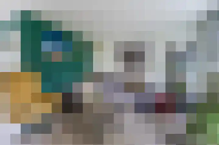 Dassenbos 254 Hoofddorp thumbnail 4