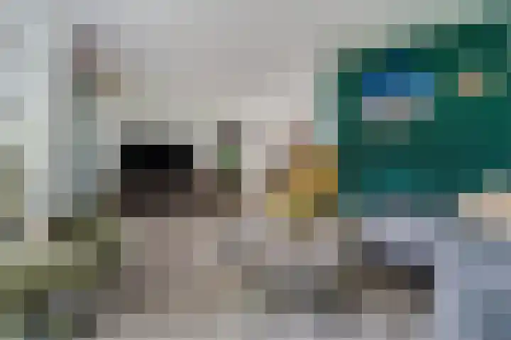Dassenbos 254 Hoofddorp thumbnail 5