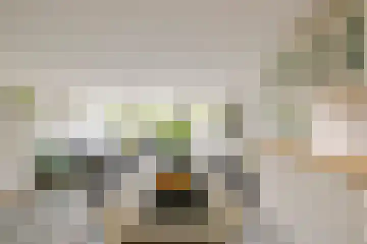 Dassenbos 256 Hoofddorp thumbnail 10