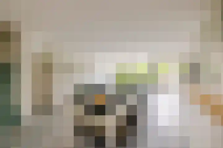 Dassenbos 256 Hoofddorp thumbnail 12