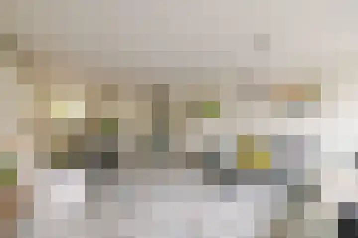 Dassenbos 256 Hoofddorp thumbnail 13