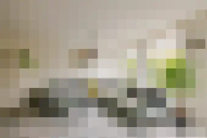 Dassenbos 256 Hoofddorp thumbnail 15
