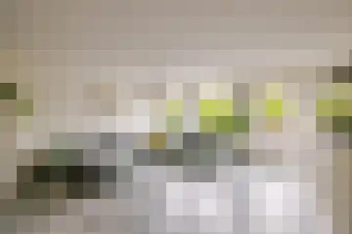 Dassenbos 256 Hoofddorp thumbnail 16