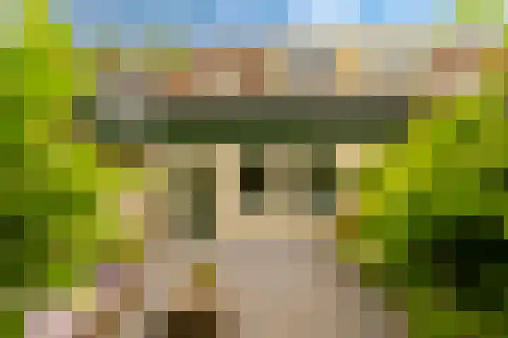 Dassenbos 256 Hoofddorp thumbnail 17