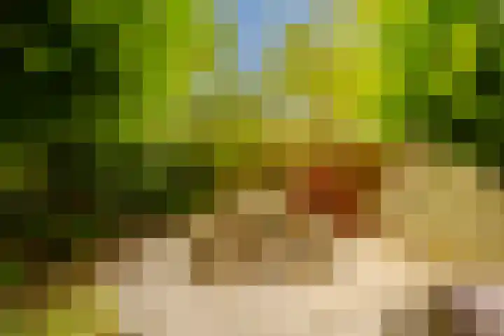 Dassenbos 256 Hoofddorp thumbnail 18