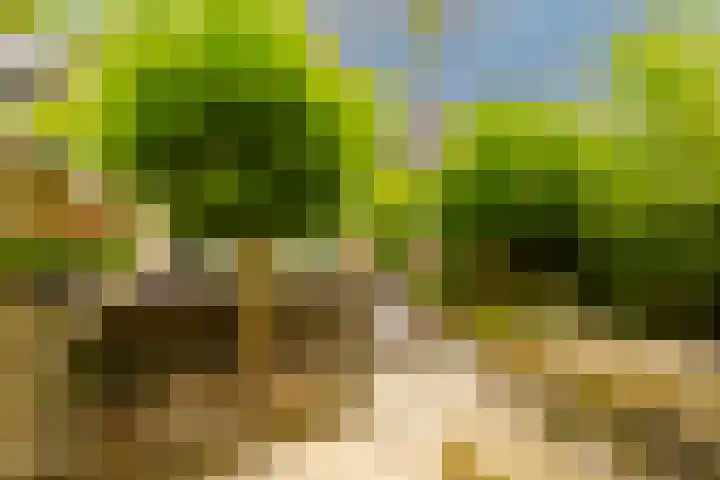 Dassenbos 256 Hoofddorp thumbnail 19