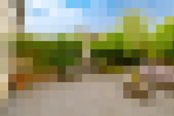 Dassenbos 256 Hoofddorp thumbnail 20