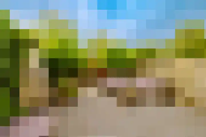Dassenbos 256 Hoofddorp thumbnail 21