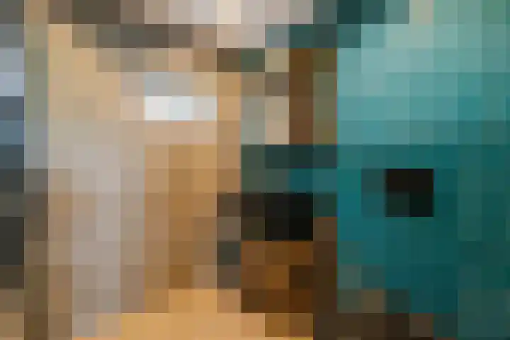 Dassenbos 256 Hoofddorp thumbnail 25